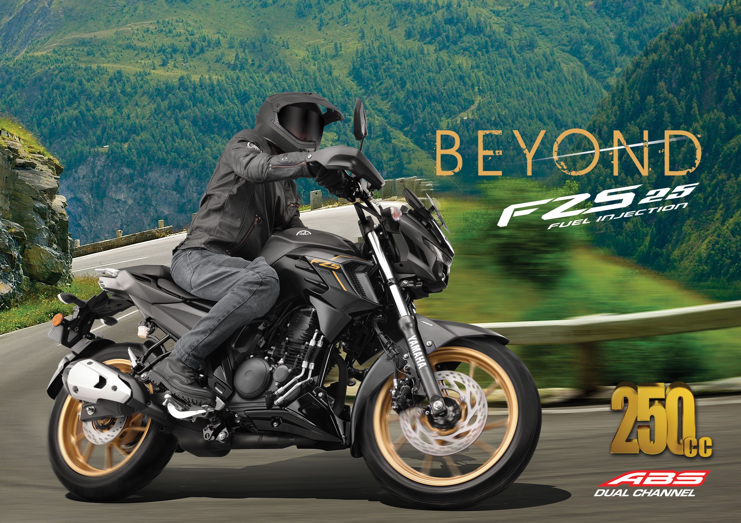 buy FZS 25 chakkarakkal, kannur